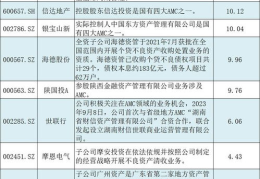 AMC化债概念股,聚焦资产管理公司及债务化解投资机会