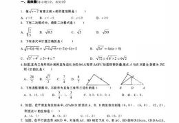 八年级数学试卷,全面解析几何与代数知识点