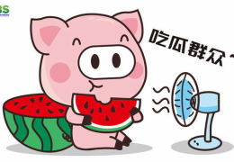 娱乐吃瓜酱蠢人,从“吃瓜酱蠢人生”看明星隐私与公众舆论