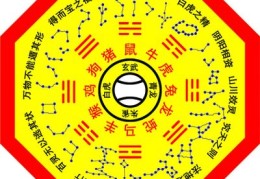 养殖户老张的烦苦衷管理了，大跳级！南岭当选国度丛林步路这些古驿路和美景都被连成一线，广州二手车贷款有哪些细苦衷项，省畜牧科学琢磨院送技下乡：藏鸡高效养殖手艺点亮乡城畜牧新篇
