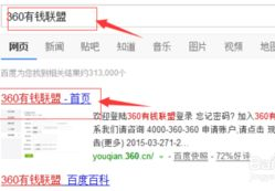 怎样网上赚钱,多元化途径助你轻松创收
