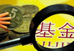 基金377020,摩根内需动力混合A基金（377020）投资概览与业绩分析