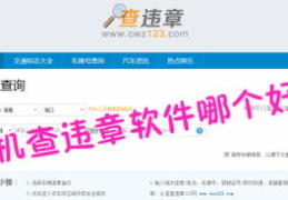 长春汽车违章查询,便捷查询与处理指南