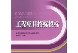 投标项目,卫星图像立体像对生成高精度DEM项目投标方案解析