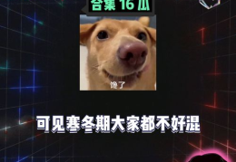 娱乐八卦吃瓜背景图,揭秘明星幕后故事，一起吃瓜看热闹！