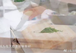 二手菜板转让视频大全下载,实用攻略与精选案例分享