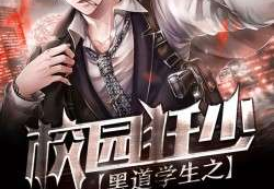 黑道校园小说阅读网,从青涩少年到黑道霸主