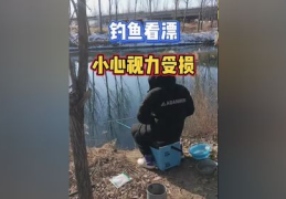 钓鱼看漂视频,视频教程中的实战攻略
