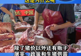 猪价四周连降,市场供需格局变化引发行业关注