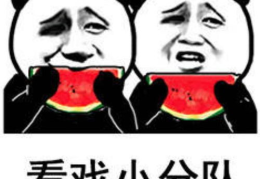 吃瓜娱乐图片表情包,吃瓜表情包带你领略欢乐时光