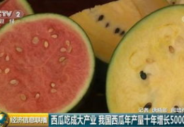 吃瓜吃大瓜网,带你领略网络吃瓜文化的魅力