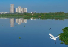 大泽湖,长沙望城区的生态明珠与未来新城
