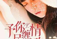 予你缠情尽悲欢贺聿爵,悲欢离合贺聿爵传